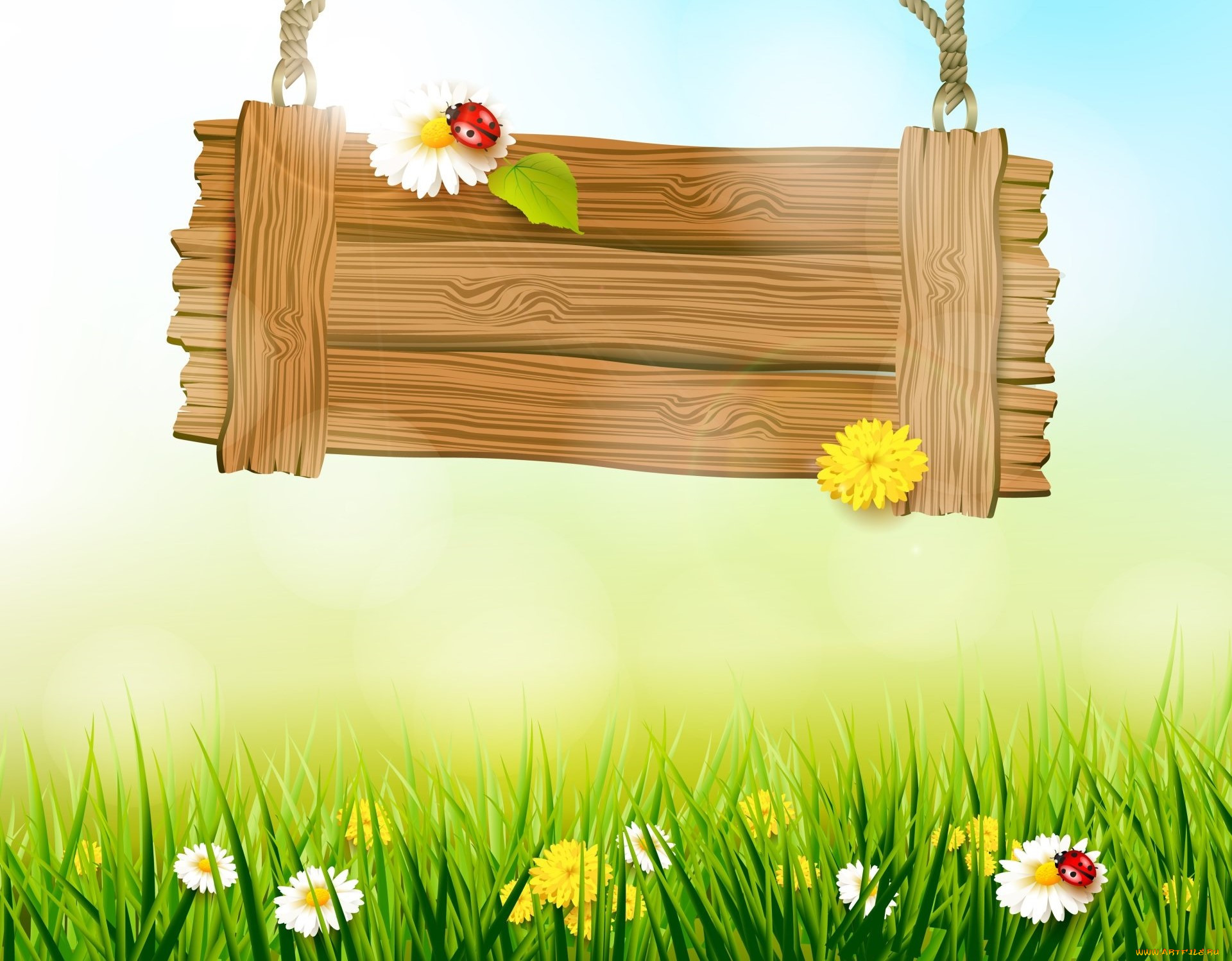  ,  , animals, , 